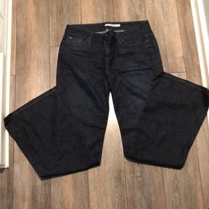 Joes Gatsby jeans